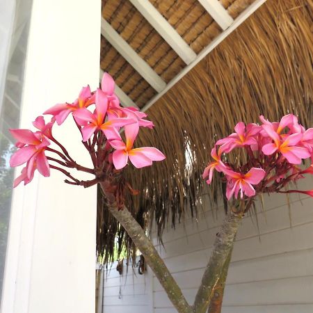 Love Coconut Bungalows Gili Trawangan Luaran gambar