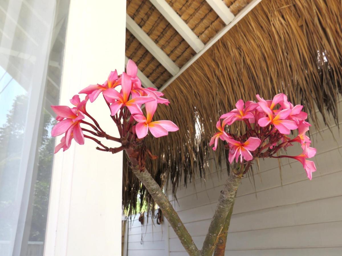 Love Coconut Bungalows Gili Trawangan Luaran gambar